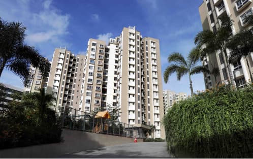 Republic Of Whitefield